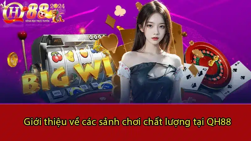 Giới thiệu về các sảnh chơi chất lượng tại QH88